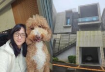 1個月才用1、2次!前主播別墅新家「捨棄1物」 推估:未來裝潢潮流