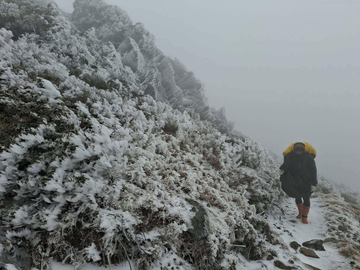 寒流來襲高山有望降雪 玉管處籲登山賞雪做好萬全準備 GWW