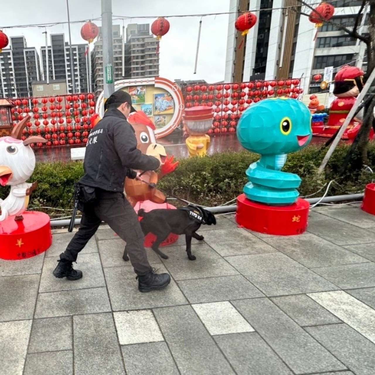 桃園警犬隊出動了!執行防爆安檢 守護台灣燈會治安 S 18759702 0