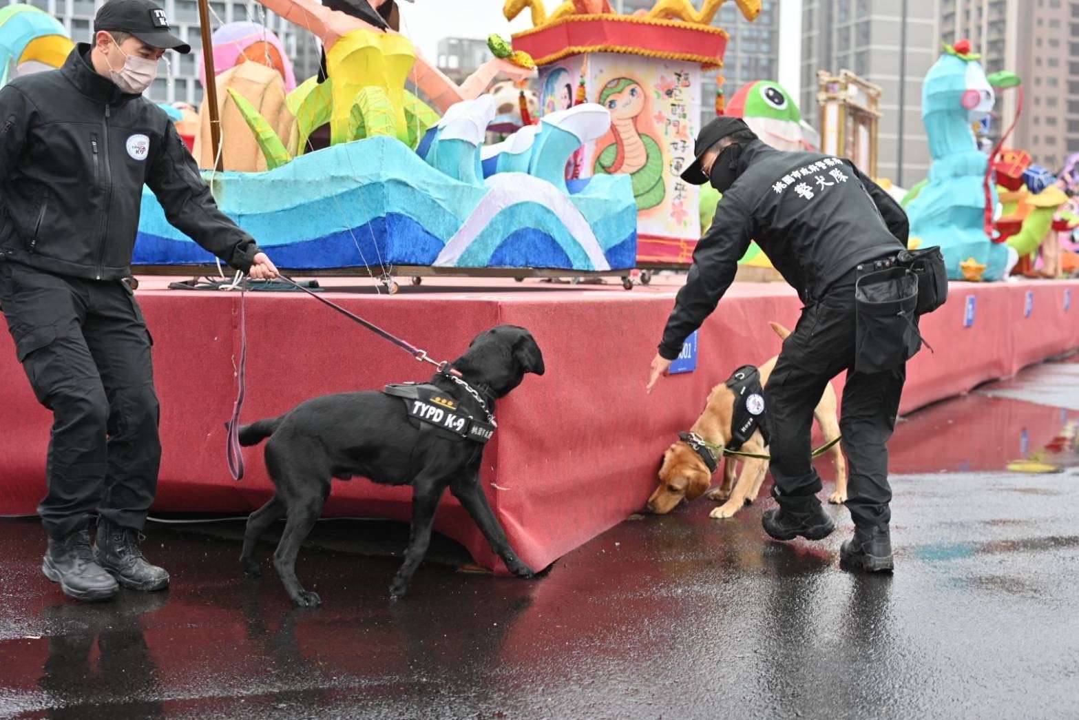 桃園警犬隊出任務 守護台灣燈會治安 S 19071082