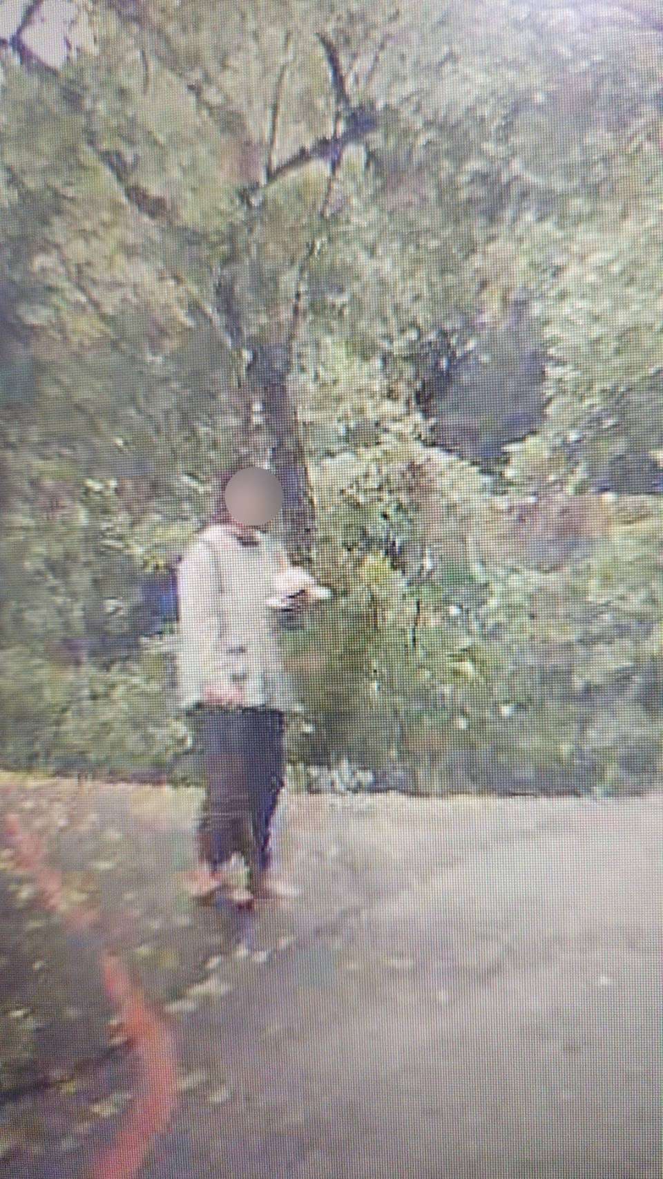 少女雨中迷途 大溪警助返家 S 236077076