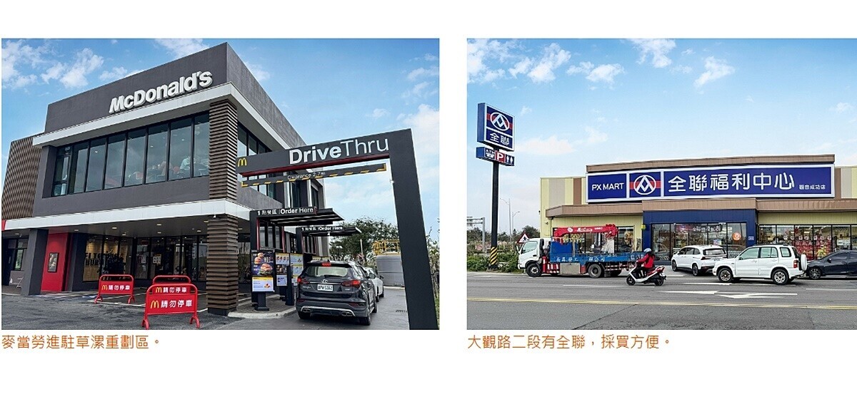 搶2字頭!觀音草漯強在哪?他揭「無法想像」的變化