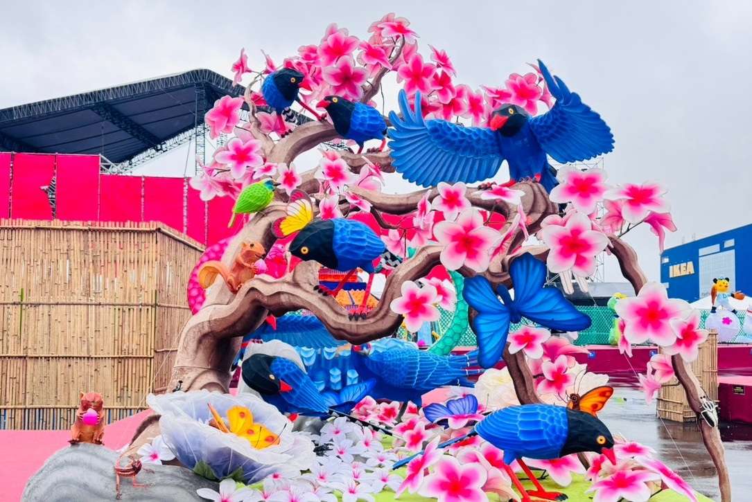 全國花燈競賽得獎揭曉 優秀作品2/12~2/23於「台灣燈會在桃園」展出