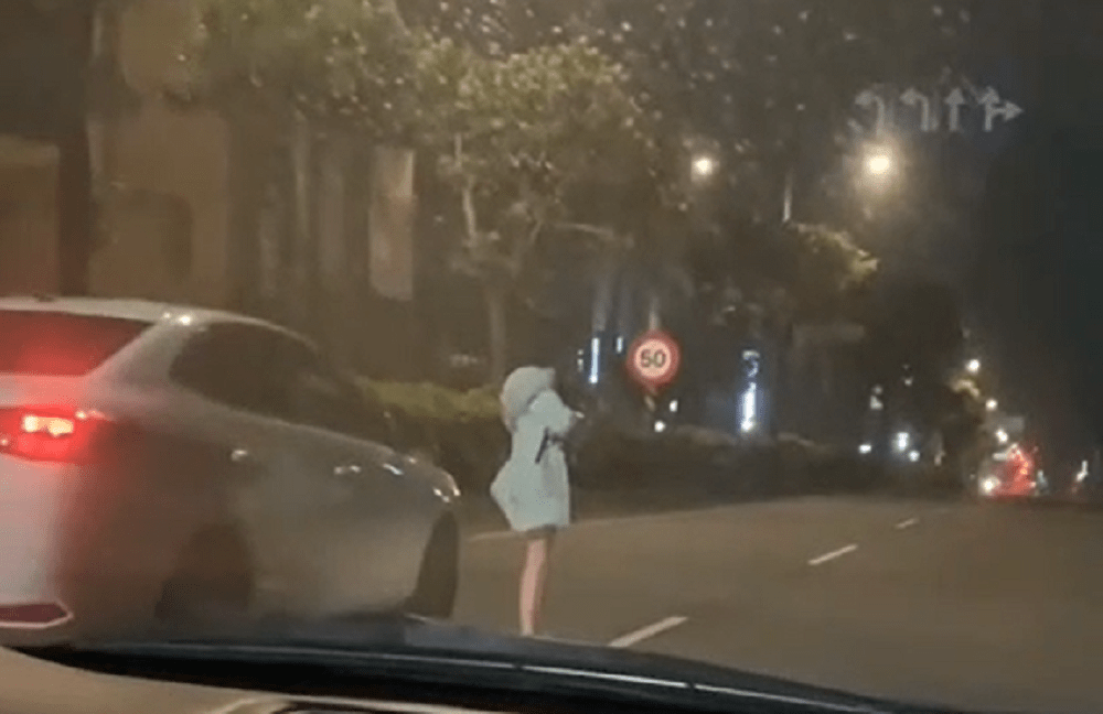 疑情侶吵架女友負氣站馬路中 恐挨罰500元 hrhh