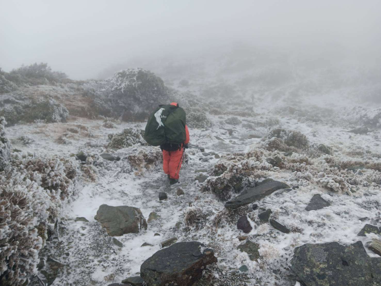 寒流來襲高山有望降雪 玉管處籲登山賞雪做好萬全準備 圖2、近日於惡劣天氣下進行搜救的救難人員玉管處提供