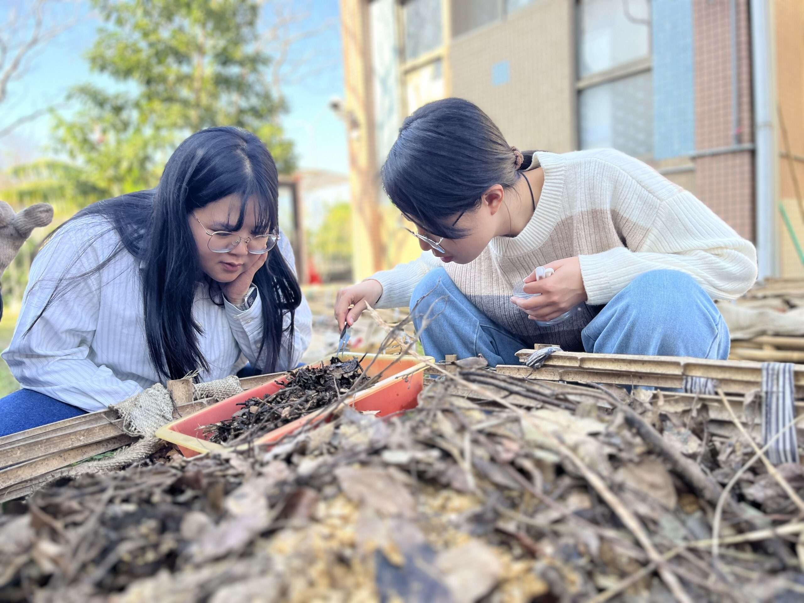 讓自然探索教育走入課堂 八德幼兒園啟動種子教師研習 129700 0 scaled