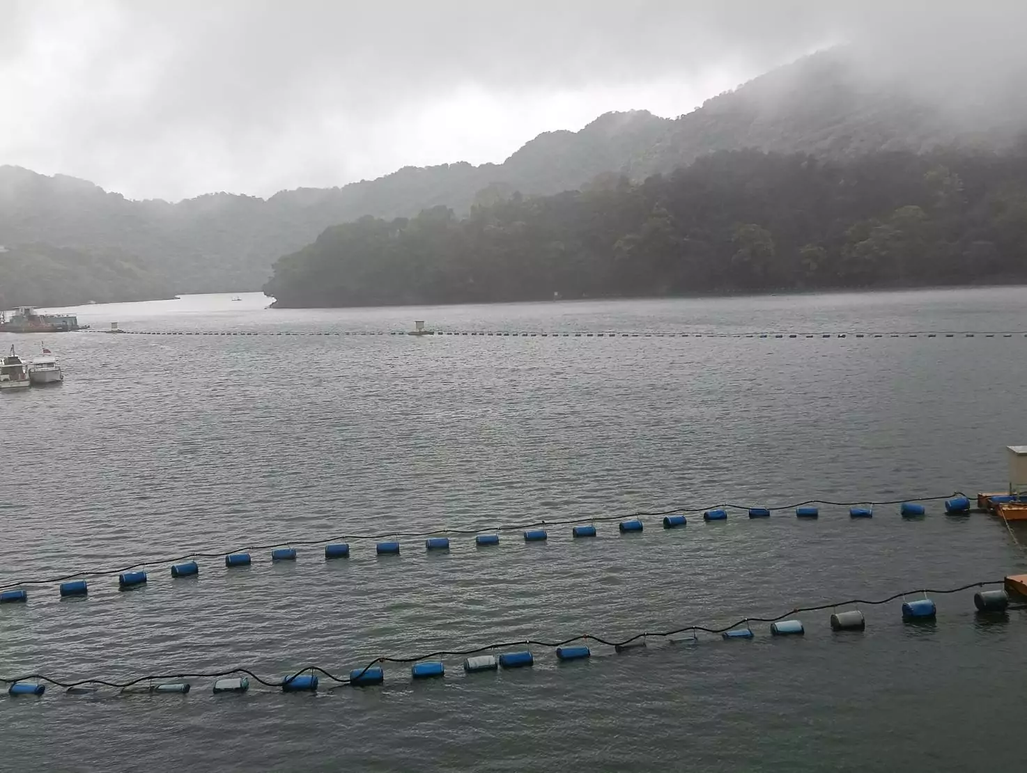 桃園近期降雨助攻 石門水庫蓄水率逾8成 桃園近期降雨助攻 石門水庫蓄水率逾8成