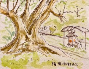 為土地公慶生 蘇俊賓手繪4特色廟宇分享典故