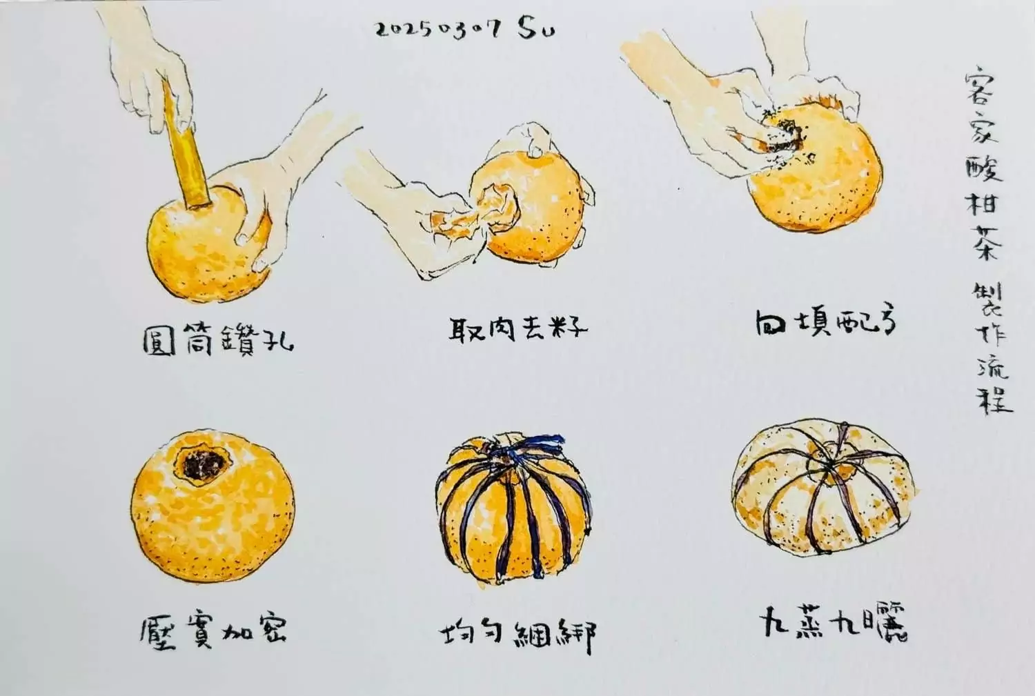 推動客家文化傳承 蘇俊賓親自學習酸柑茶製作工藝 推動客家文化傳承 蘇俊賓親自學習酸柑茶製作工藝