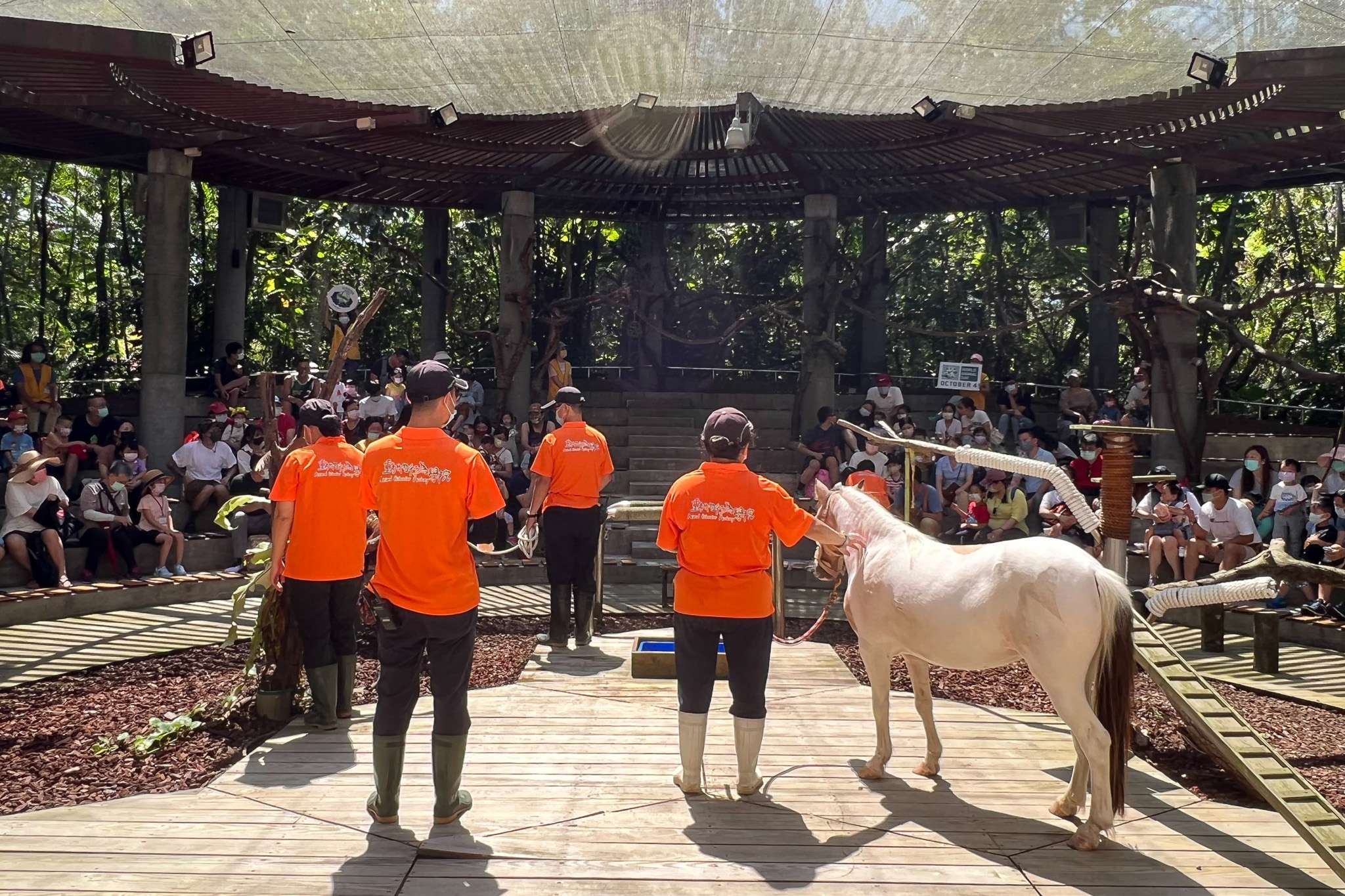 兒童節連假限定!動物園為幼年大猩猩準備這驚喜 3509 0