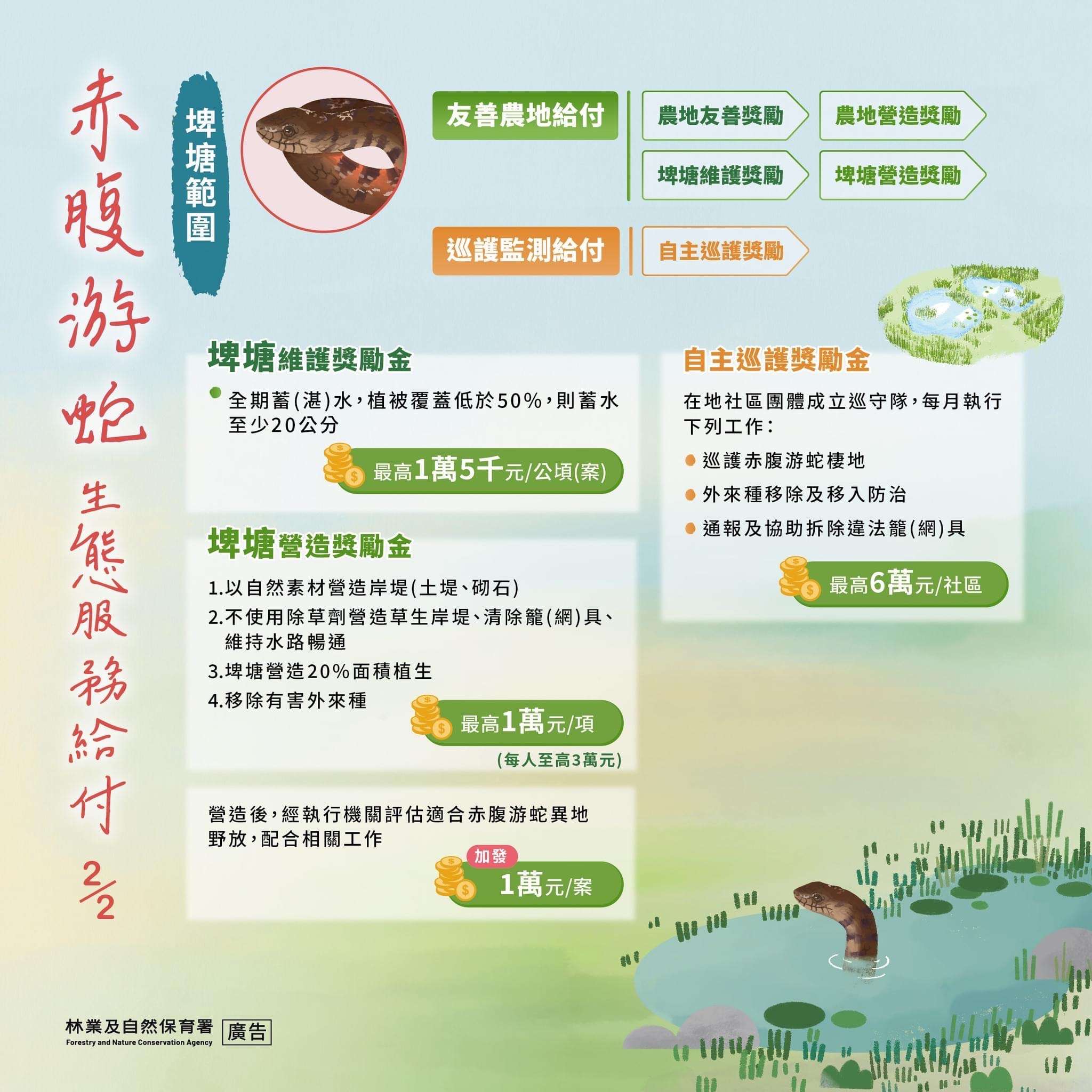 友善農業助赤腹游蛇復育 3/12楊梅區說明會公開解說 456 2