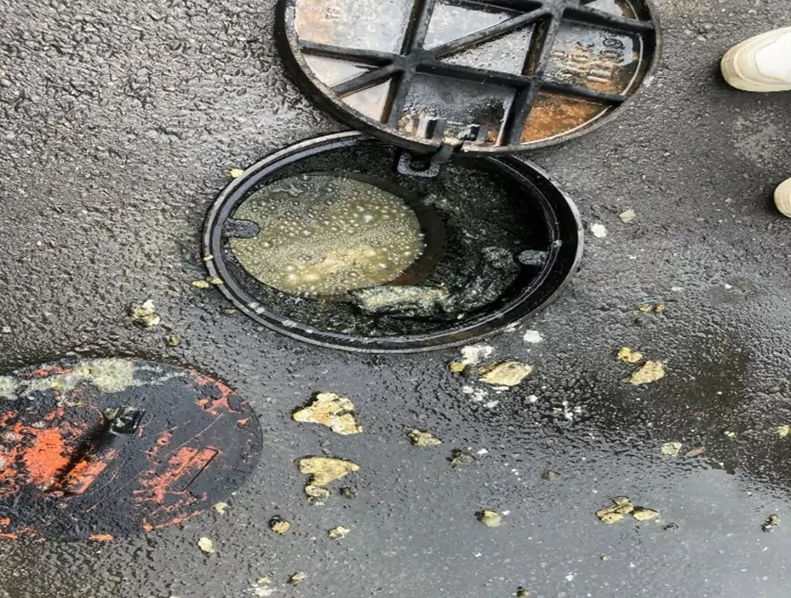 維護污水下水道!桃園水務局提醒民眾這些東西別亂丟 457479