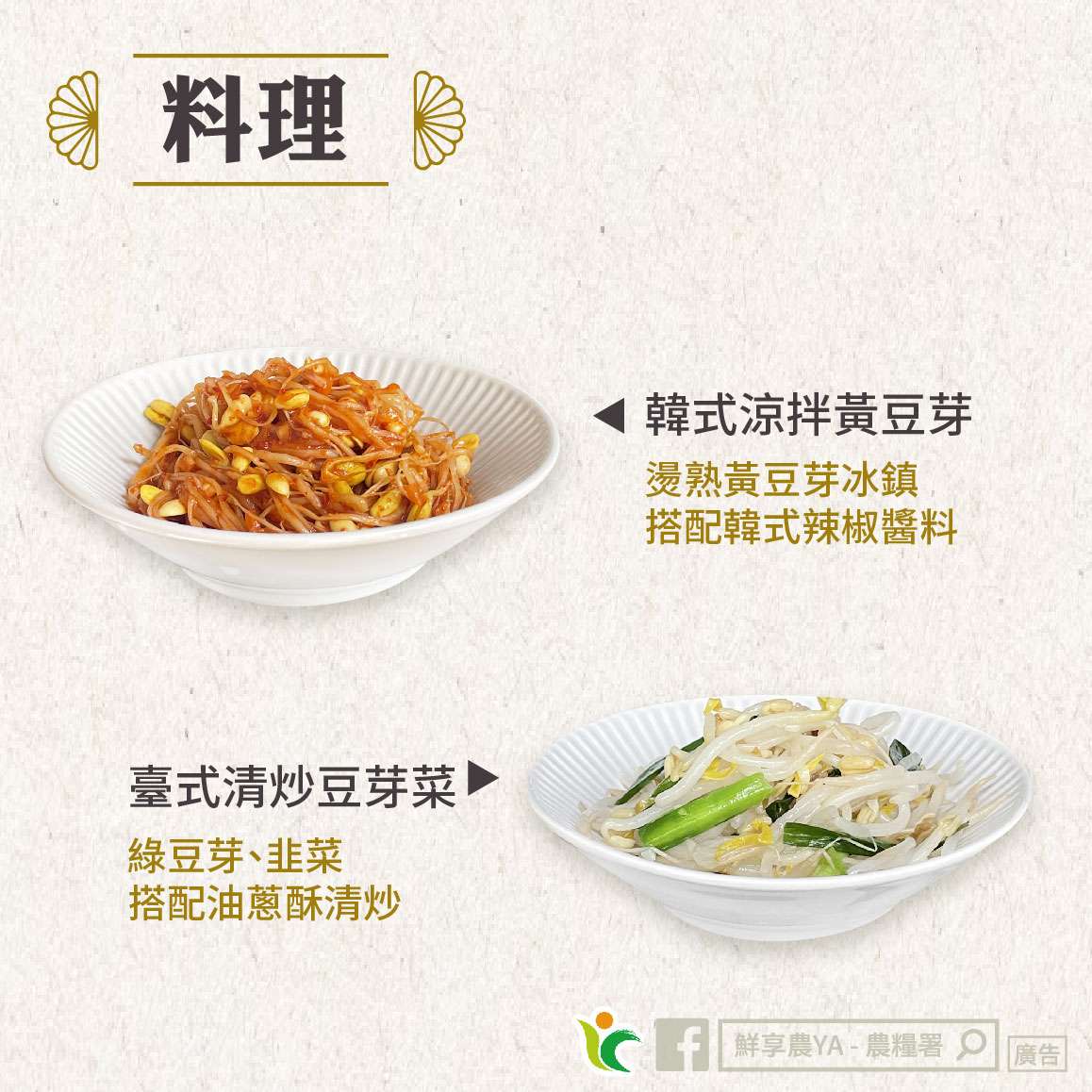 豆芽菜料理不踩雷!農糧署教你挑選、烹飪妙招 480702464 953259346952696 5401512146748867171 n