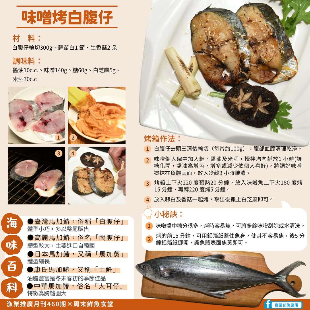 當季美味簡單上桌 動手做外酥內嫩「味噌烤白腹仔」 485064553 982704980617824 9167477627347845221 n