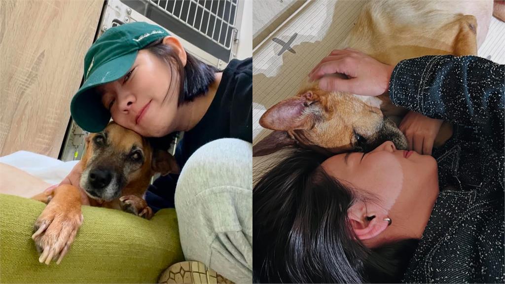 罹癌倒數生命!米可白心碎告白摯愛「媽媽愛你」