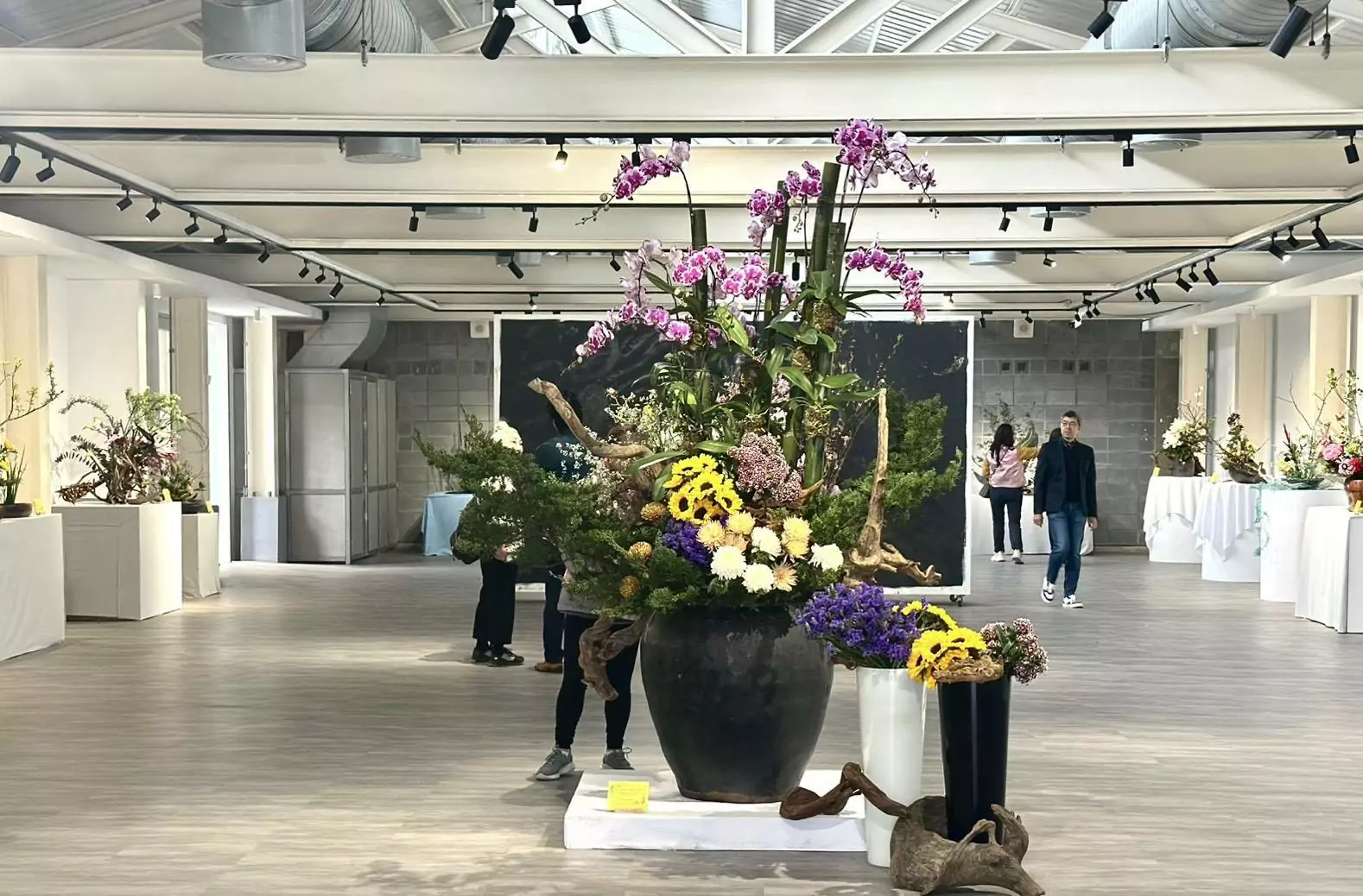 桃園草花美景進駐中原文創園區「花顏巧語」展覽今登場 桃園草花美景進駐中原文創園區「花顏巧語」展覽今登場