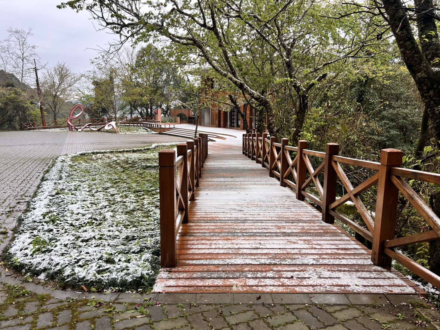 強烈大陸冷氣團來襲 桃園拉拉山降3月雪 S 2990380 0 0