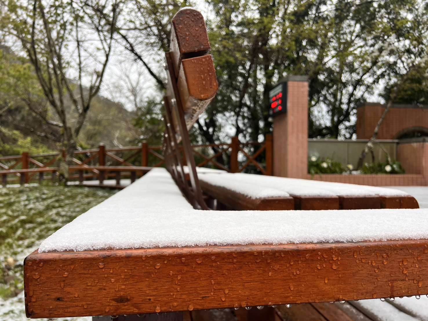 強烈大陸冷氣團來襲 桃園拉拉山降3月雪 S 2990386 0 1