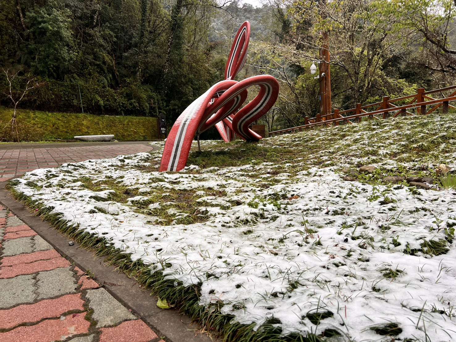 強烈大陸冷氣團來襲 桃園拉拉山降3月雪 S 2990389 0 1