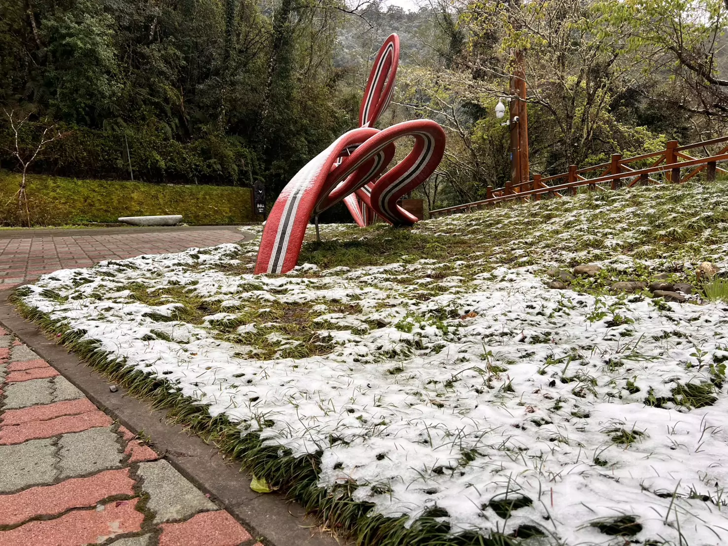 強烈大陸冷氣團來襲 桃園拉拉山降3月雪 S 2990389 0 1