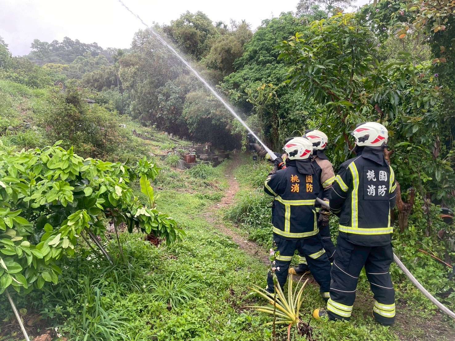 桃消大有分隊墓地火警演練登場 超前部署救災能量 S 30072884 0