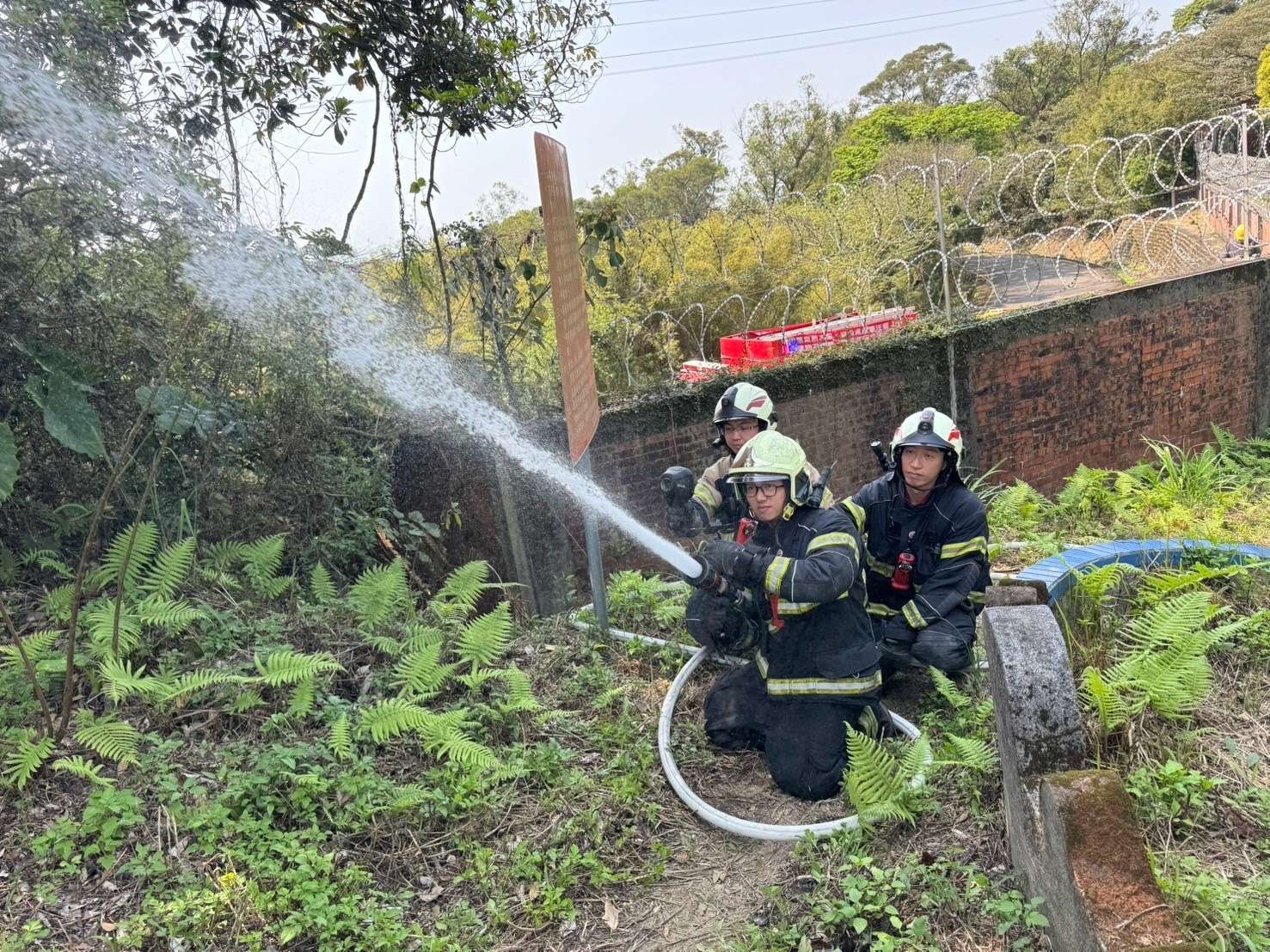 清明掃墓防火災!桃消龜山分隊呼籲民眾這些事 S 48865377 0