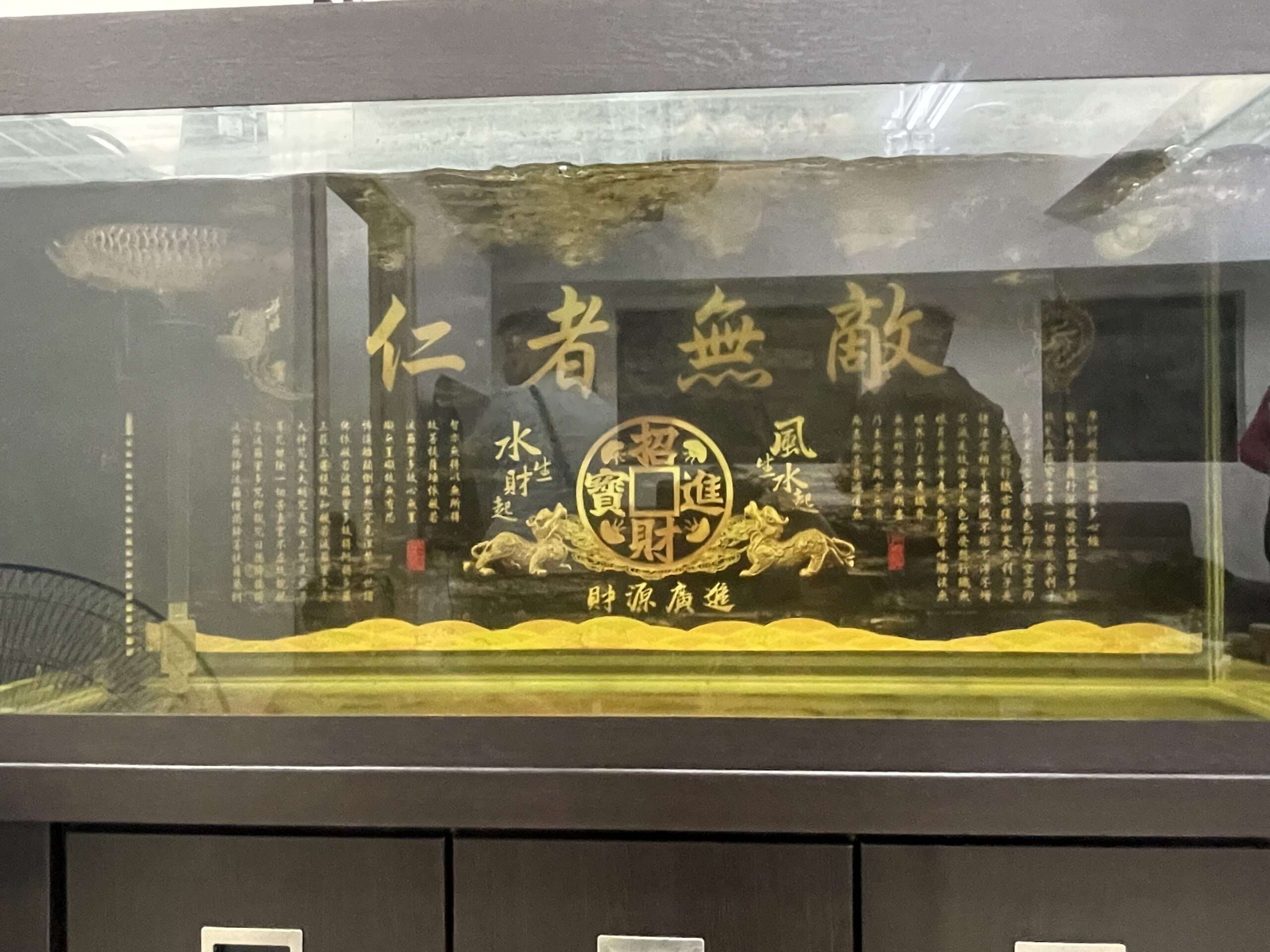 假投資詐團據點掛匾額「仁者無敵」 逾50成員被逮17人羈押 f5654rf scaled