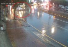 【有片】路口遭汽車擊落 女騎士倒地哀嚎畫面曝