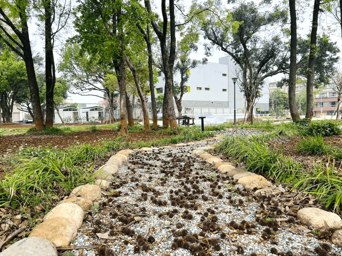 讓孩子與大自然為友 楊梅四維兒童公園全新遊戲場亮相 圖11.楓香林步道 果實體驗區