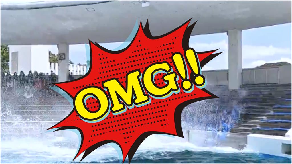 水族館新進員工迎新活動 「大前輩」 上演震撼教育