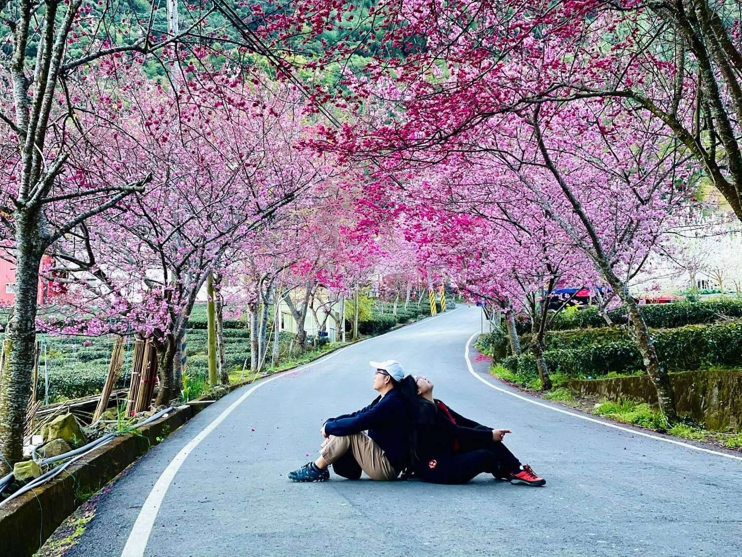 「不婚不生」遭家長逼迫 婚姻與幸福究竟由誰決定? 1 0