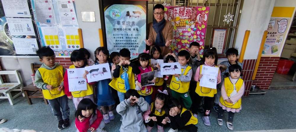 台版《和豬豬一起上課的日子》 桃園龍岡國小舉辦校豬「來福」紀念會