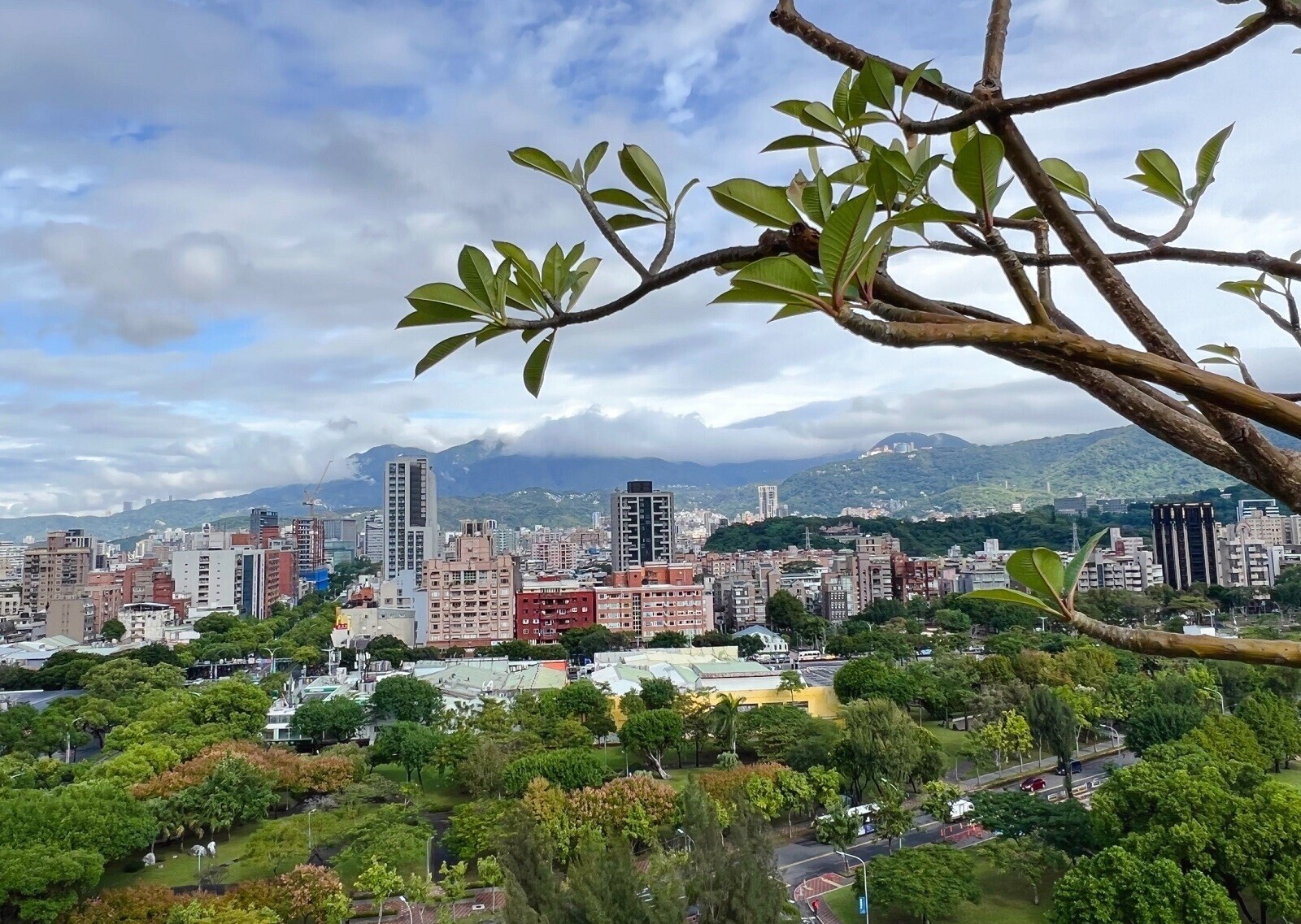 房市回暖係金ㄟ?專家看「這數字」上升樂了…最怕被「這些事」拖累