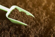 桃園警、環涉收賄護航 檢調搜索14處羈押4人