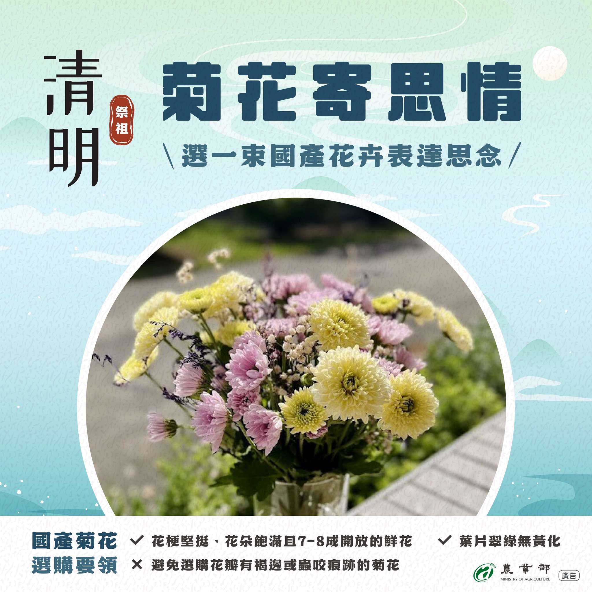 清明慎終追遠首選!掌握3撇步挑選菊花傳達思念 487629727 1071686415000104 3977791858275956757 n