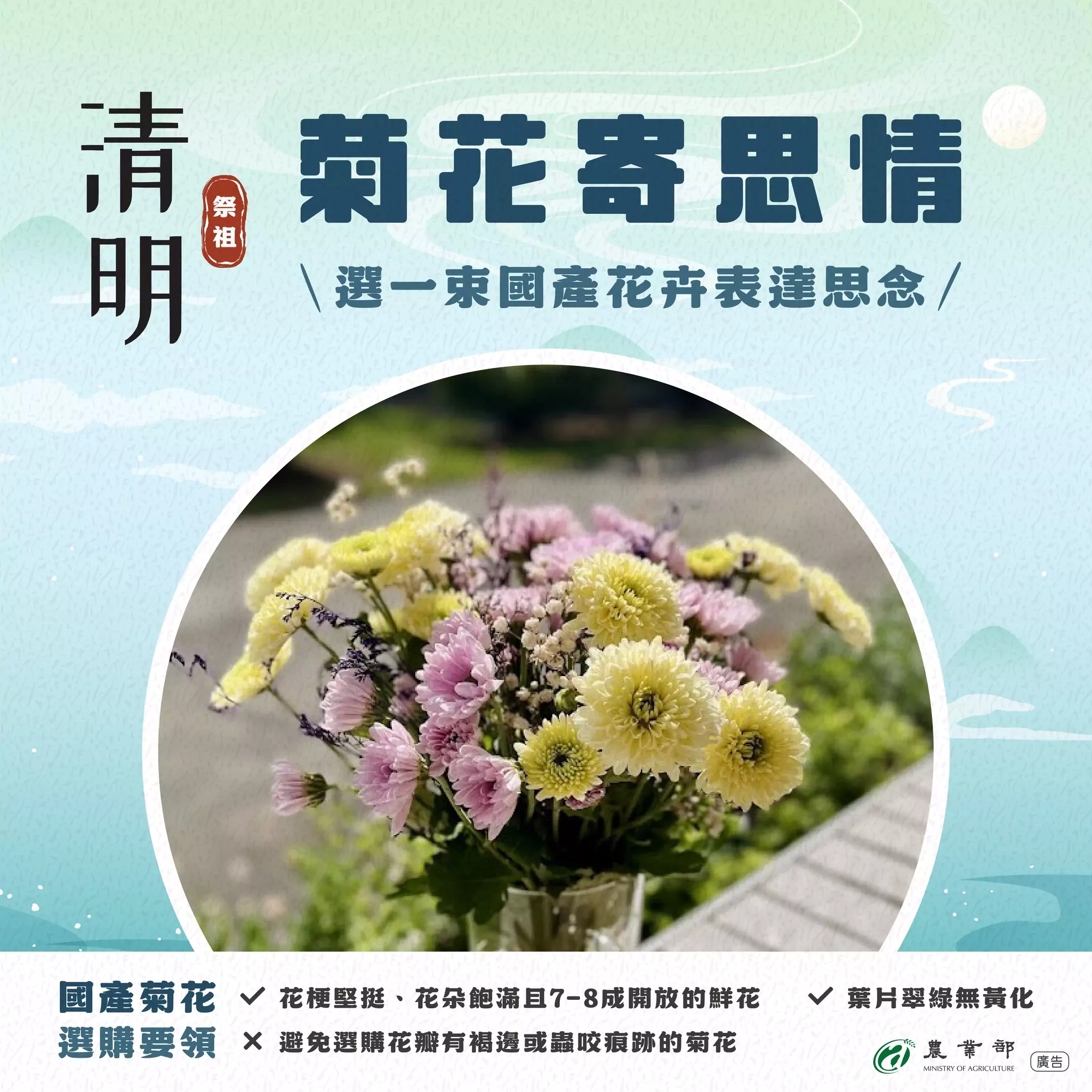 清明慎終追遠首選!掌握3撇步挑選菊花傳達思念 487629727 1071686415000104 3977791858275956757 n