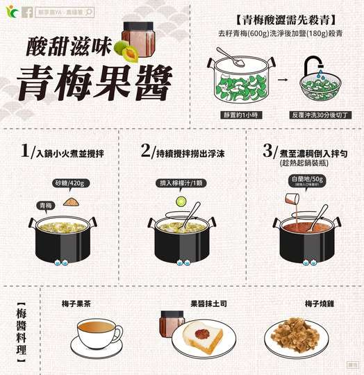 青梅季節來了!這樣做簡單製成果醬享受酸甜滋味 488616449 981089217503042 3029738344926348089 n