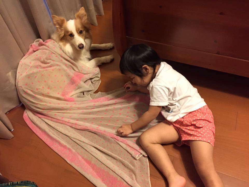陪伴16年愛犬「圖圖」離世 蘇俊賓曝不再養寵物真相讓人淚崩 490452377 1260882809167870 5678338278162335148 n