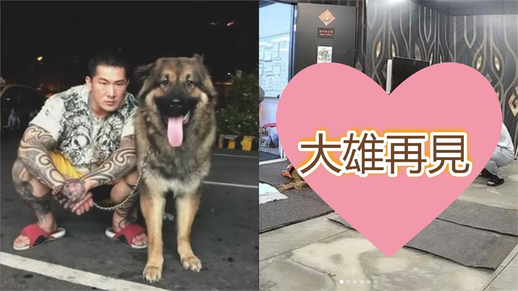 昔攻擊老婆害流產 館長愛犬安樂死離世