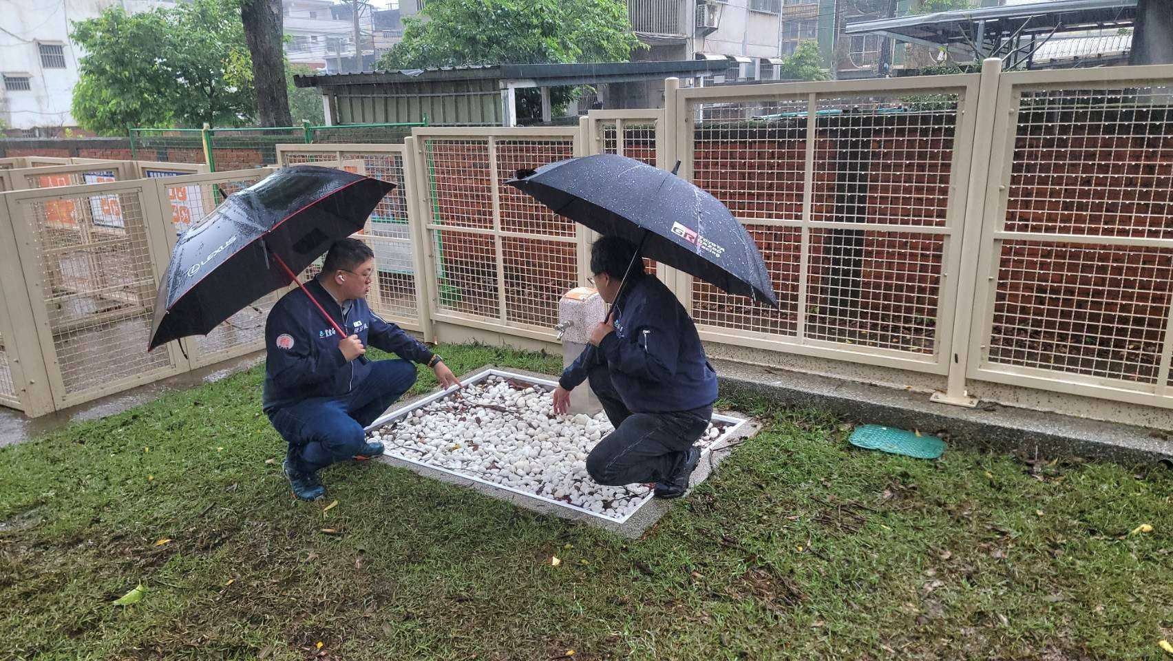 迎接國際寵物日 桃市5處寵物友善專區全新登場 806045 0