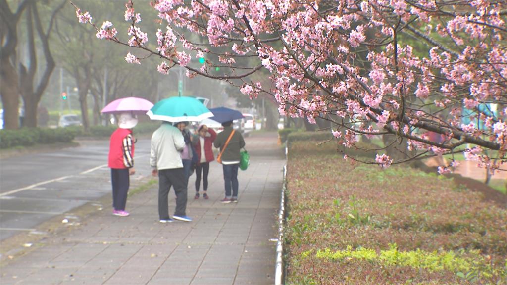 半個台灣突降溫!下周變天「伴隨劇烈天氣」雨彈炸5天