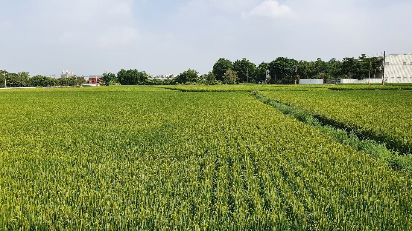 土地移轉最好多跑區公所 土增稅明明免稅 小心被「地面師」騙了