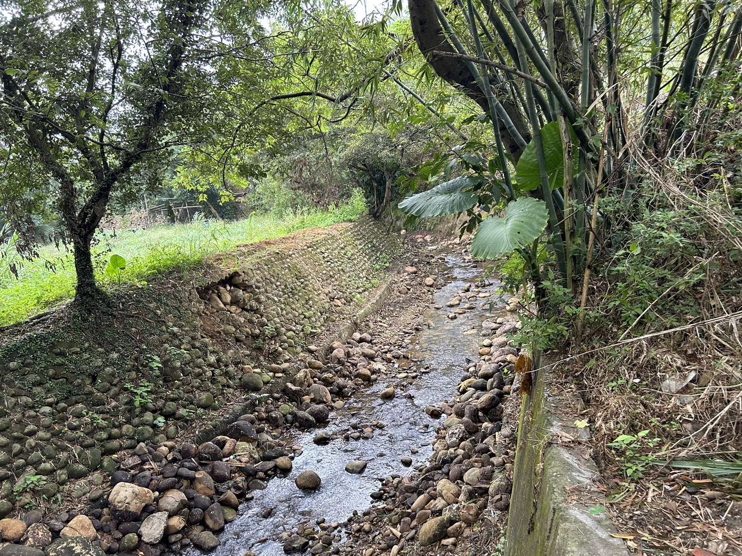 蘆竹這處排水幹線整治5/9開工 強化防災能力守護居民安全 S 15073520 0