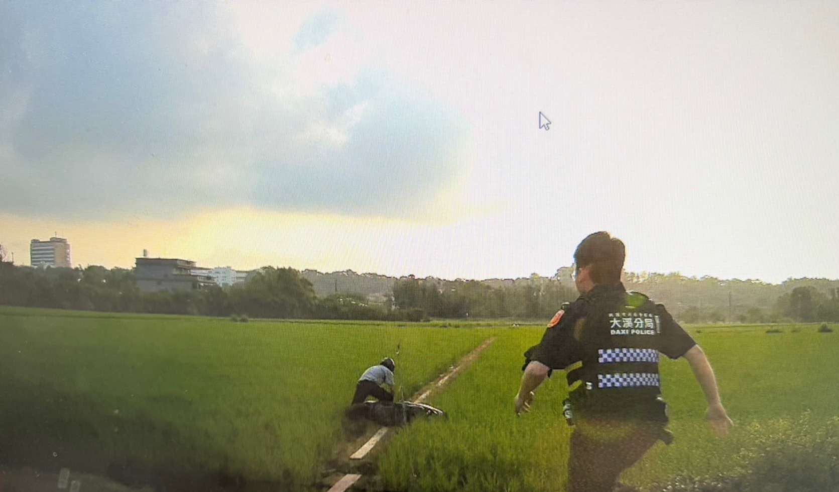 竊盜通緝犯遇警加速逃 下秒「犁田」狼狽落網 S 255623171