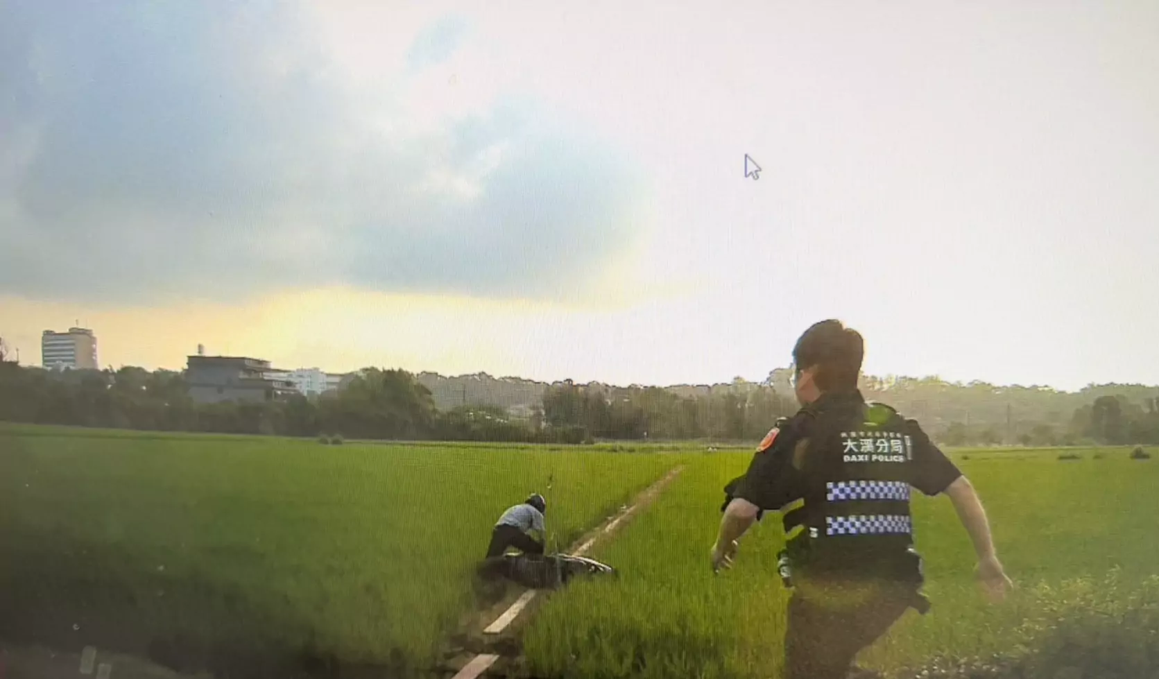 竊盜通緝犯遇警加速逃 下秒「犁田」狼狽落網 S 255623171