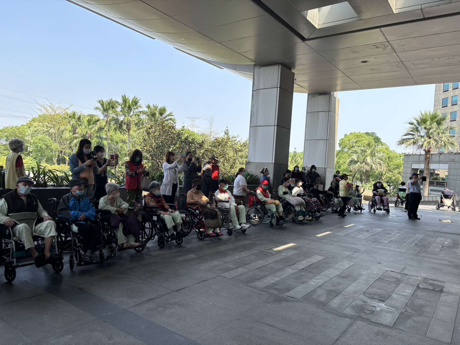 桃園長庚歡慶母親節 陪民眾賞桐感受音樂魅力 S 57614347