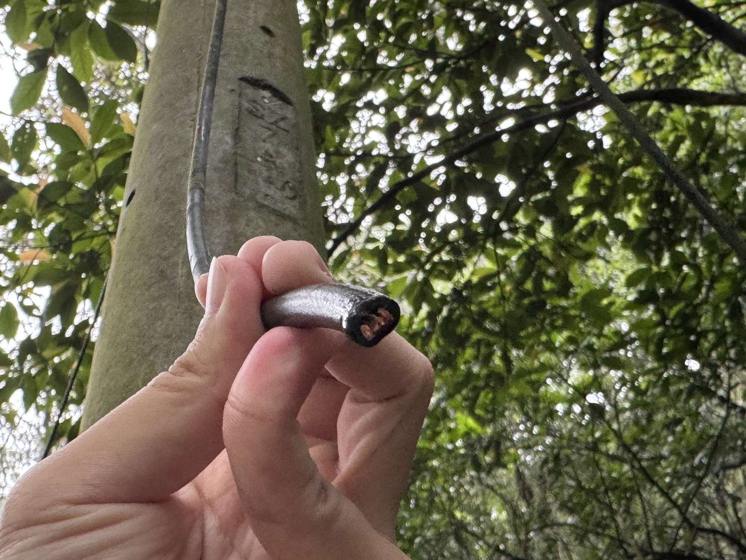 龜山大棟山風景特定區電纜線遭竊 逾20盞路燈不亮 S 65544262 0