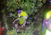 醉後掉進「一個洞」爬不出來 龜山警消在這發現他