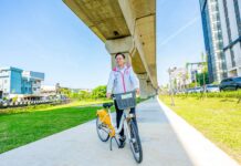 為閒置空間注入新活力!蘆竹營盤溪綠廊完工