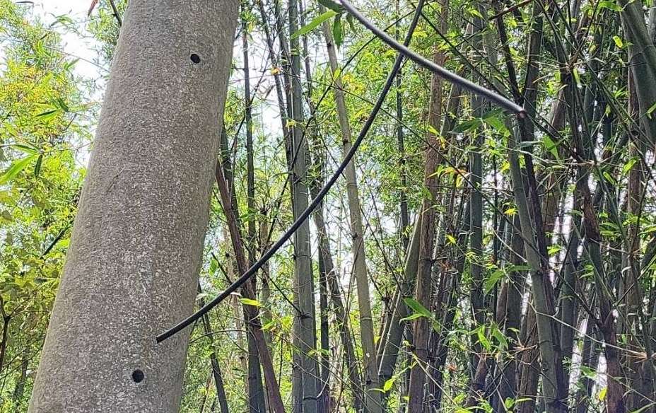 龜山大棟山風景特定區電纜線遭竊 逾20盞路燈不亮